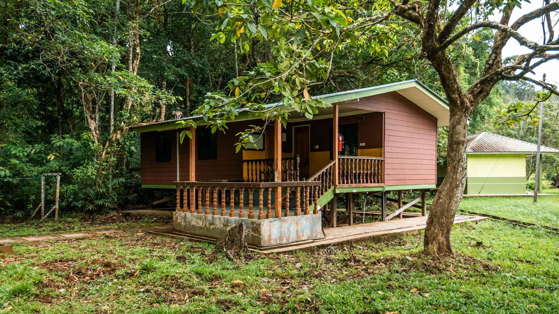Forest Lodge Type 4, Bako National Park, Borneo, Malezja