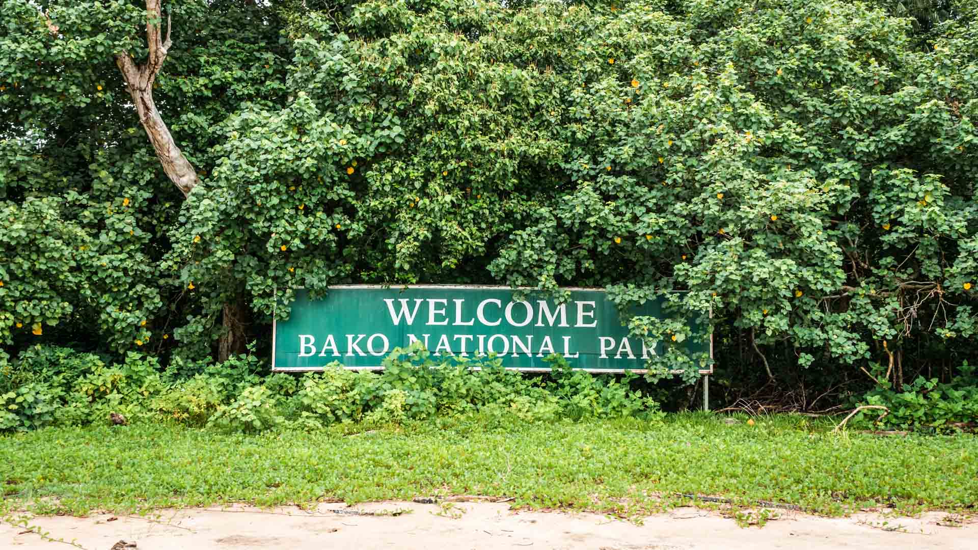 Welcome, Bako National Park, Borneo, Malezja