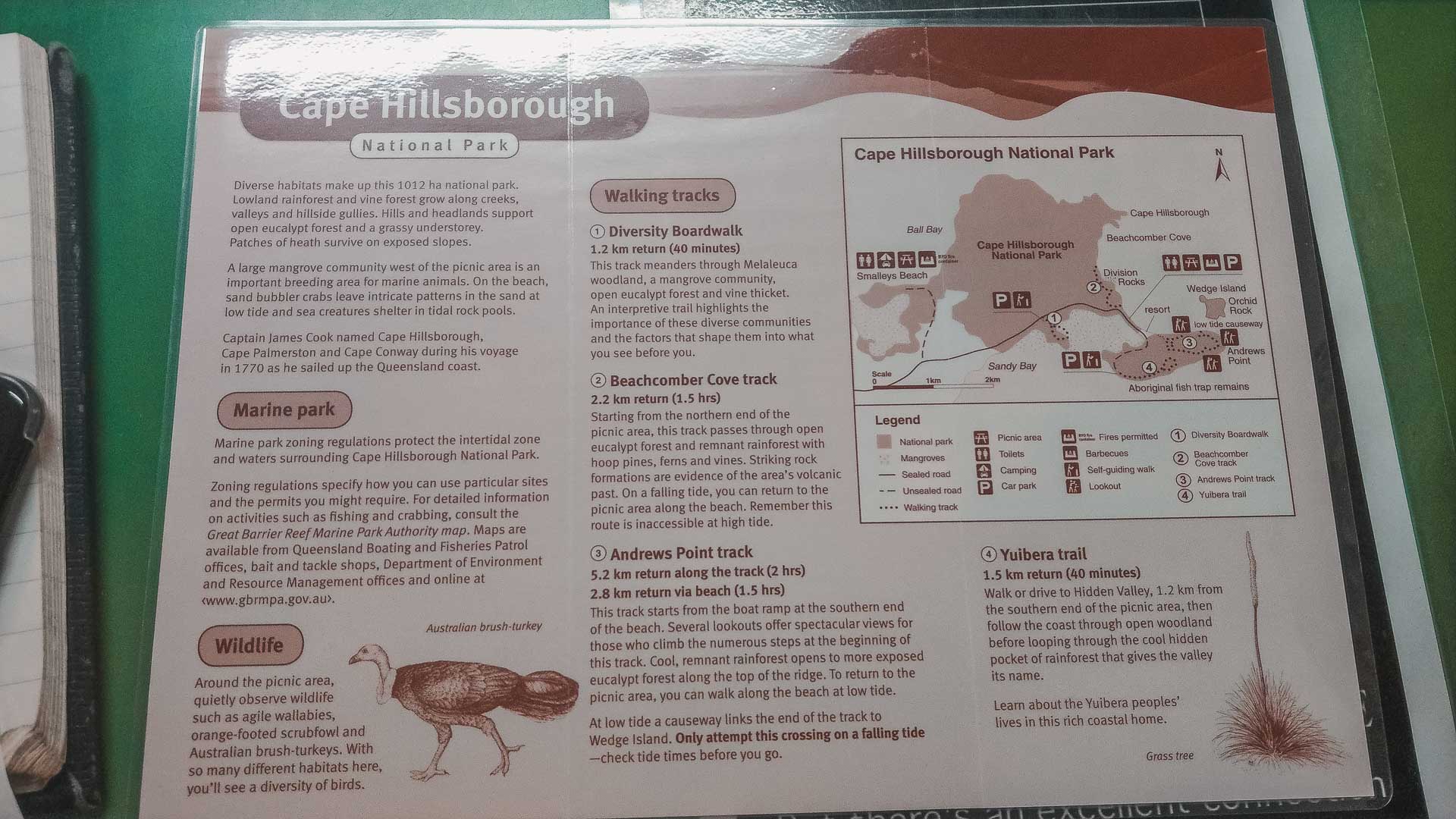 Cape Hillsborough Nature Tourist Park