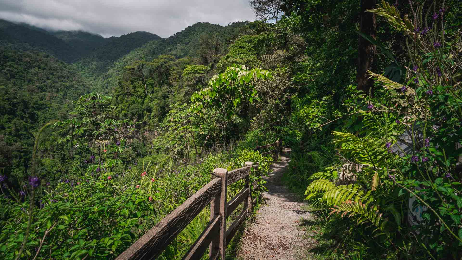 Podróż po Kostaryce - szlak na Catarata del Toro