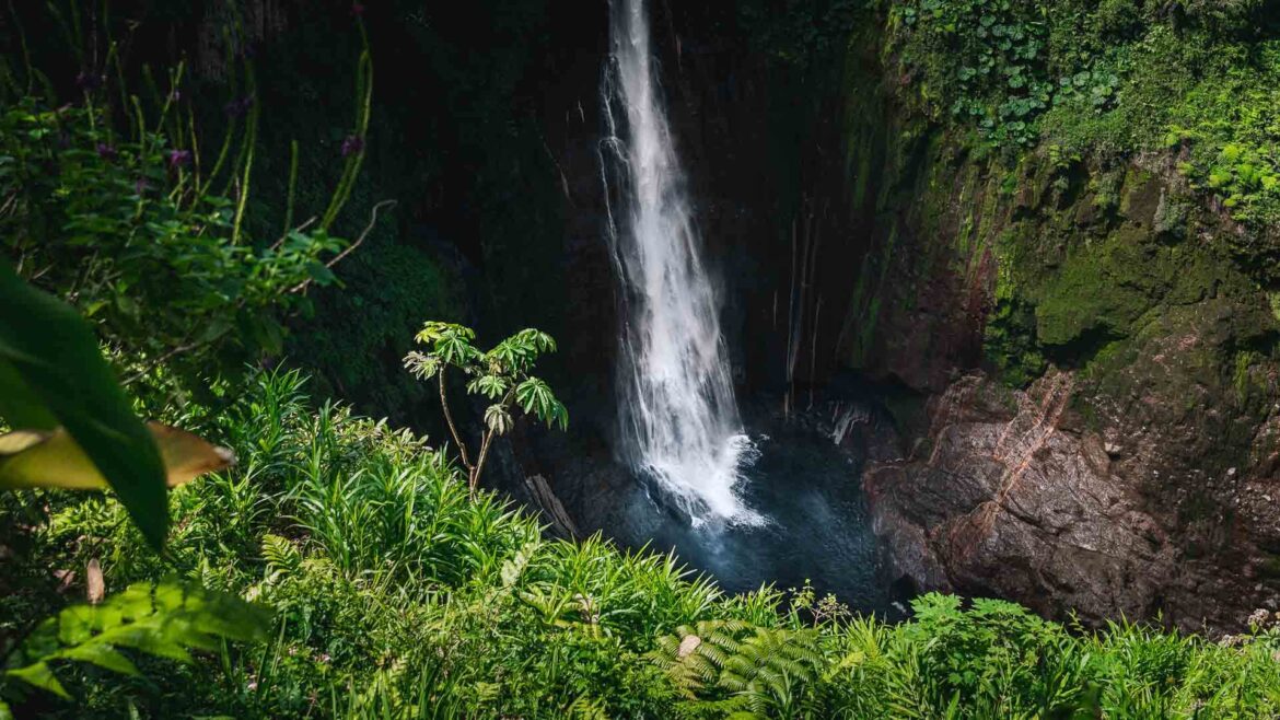 Catarata del Toro, Kostaryka