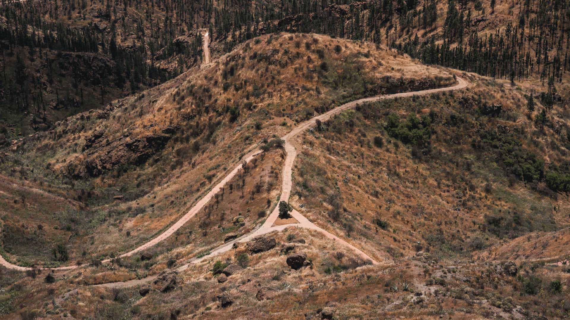 Szlaki koło Artenara