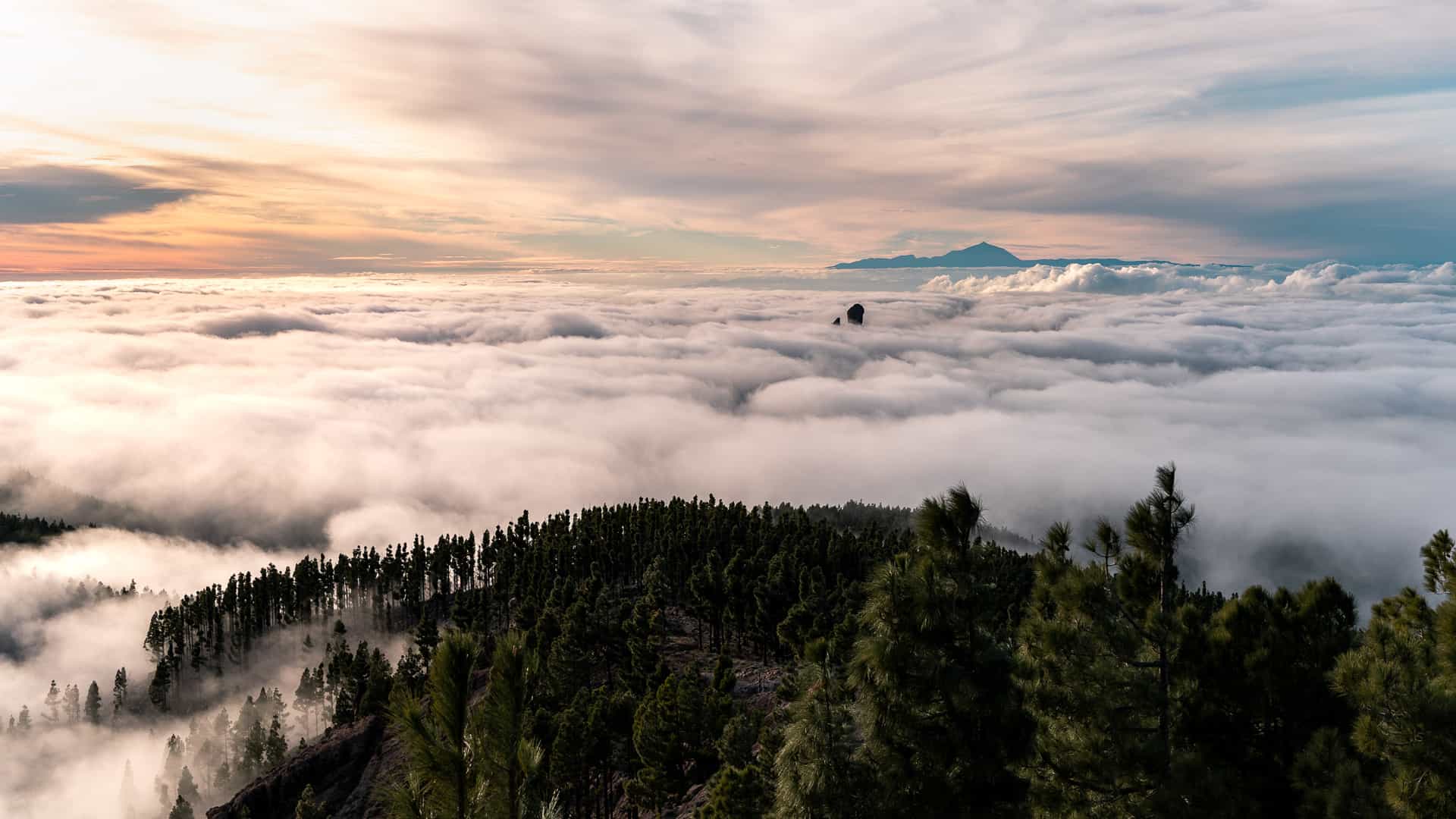 Pico de las Nieves w chmurach