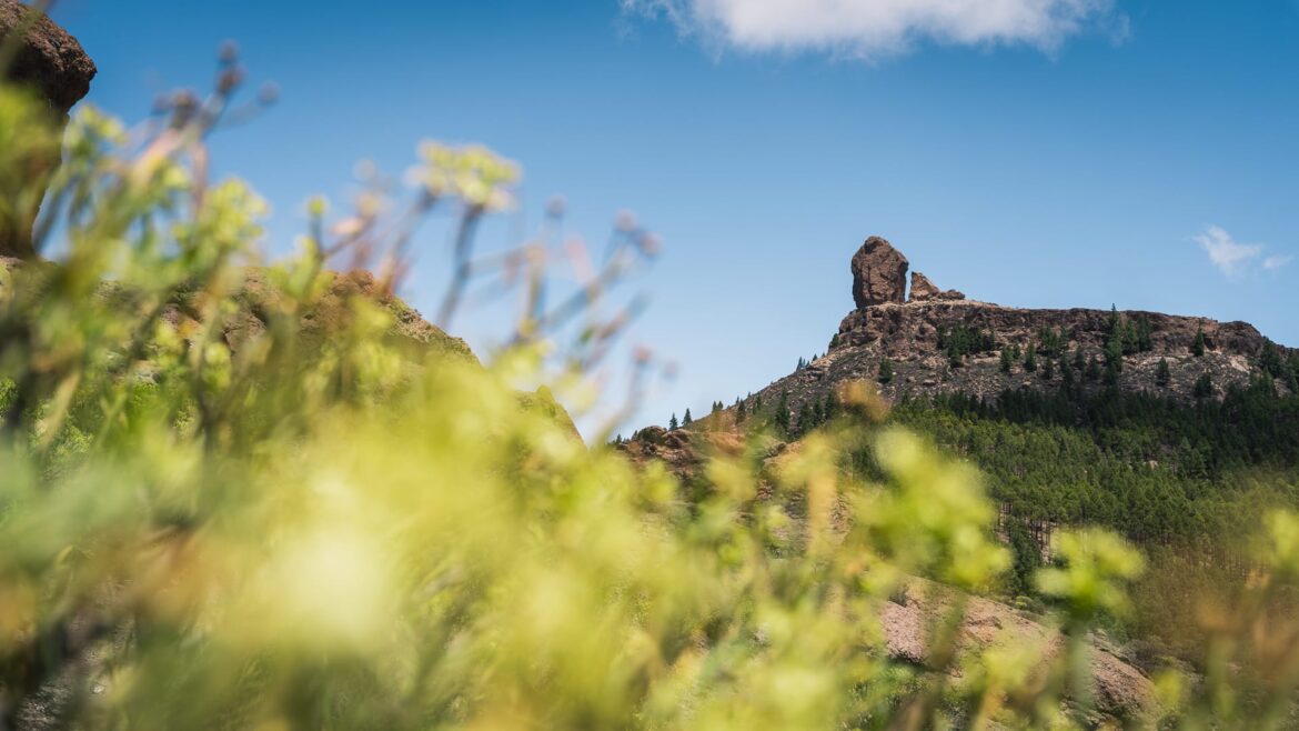 Roque Nublo