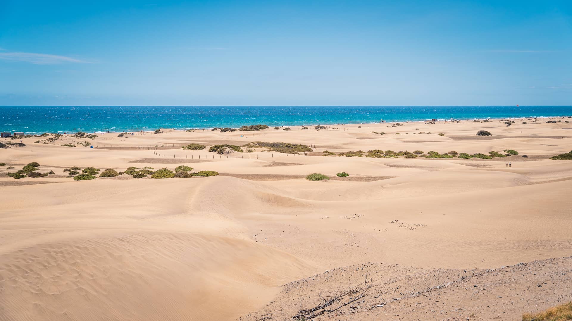 Wydmy i plaża w Maspalomas - atrakcje południa Gran Canarii