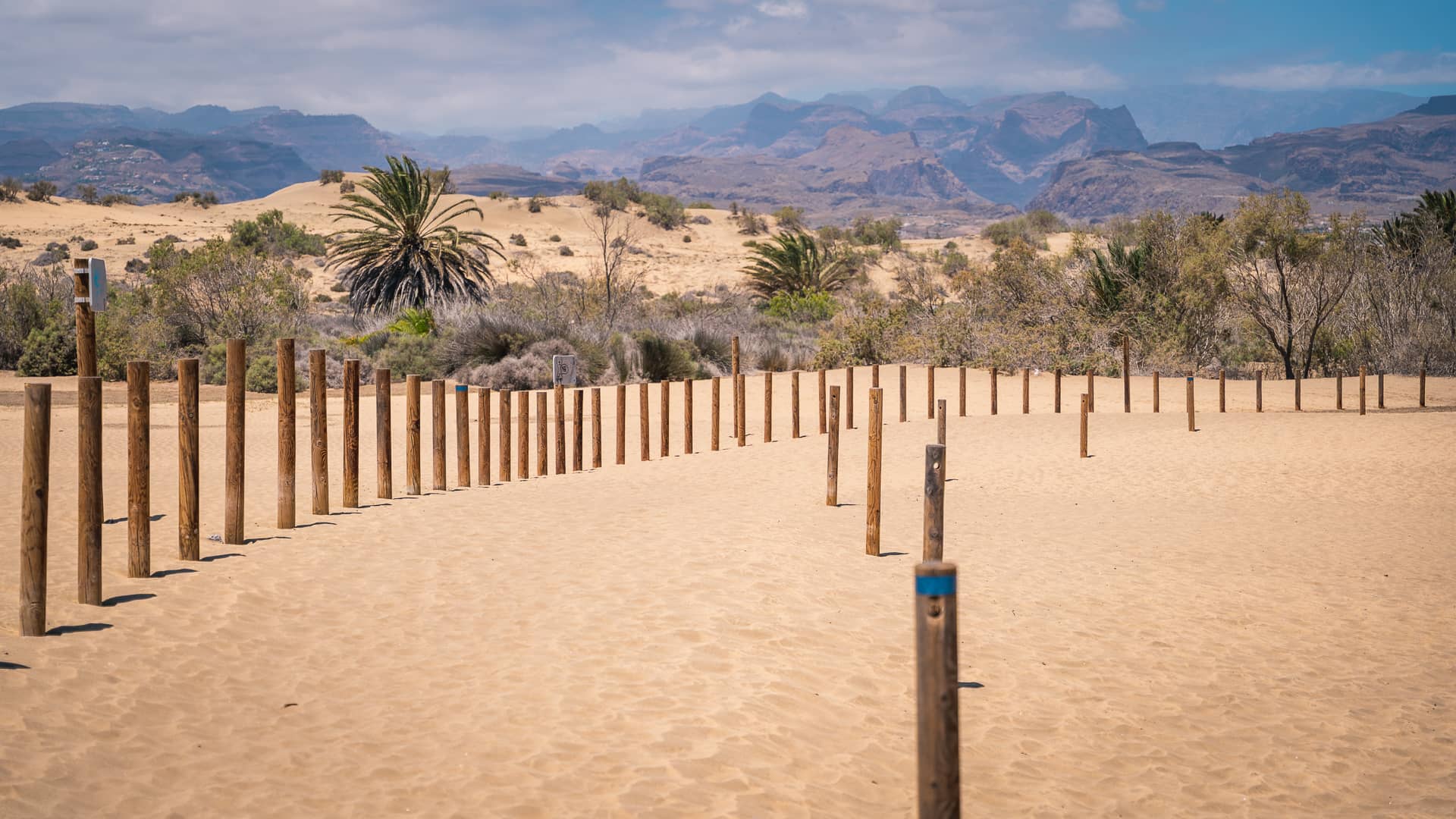 Ścieżka przez Dunas de Maspalomas - wydmy na Gran Canarii