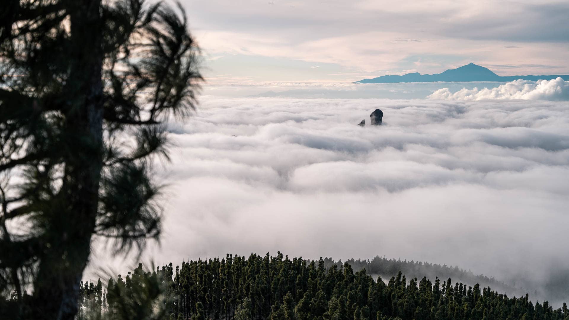 Widok z Pico de Las Nieves na morze chmur, Roque Nublo oraz wulkan Teide